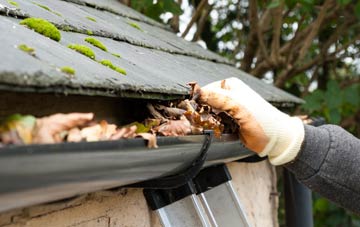 gutter cleaning Coton Hill