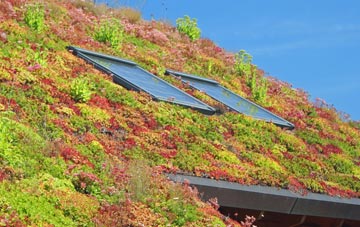 Coton Hill living roof systems