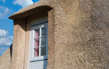 Coton Hill thatch roof disadvantages